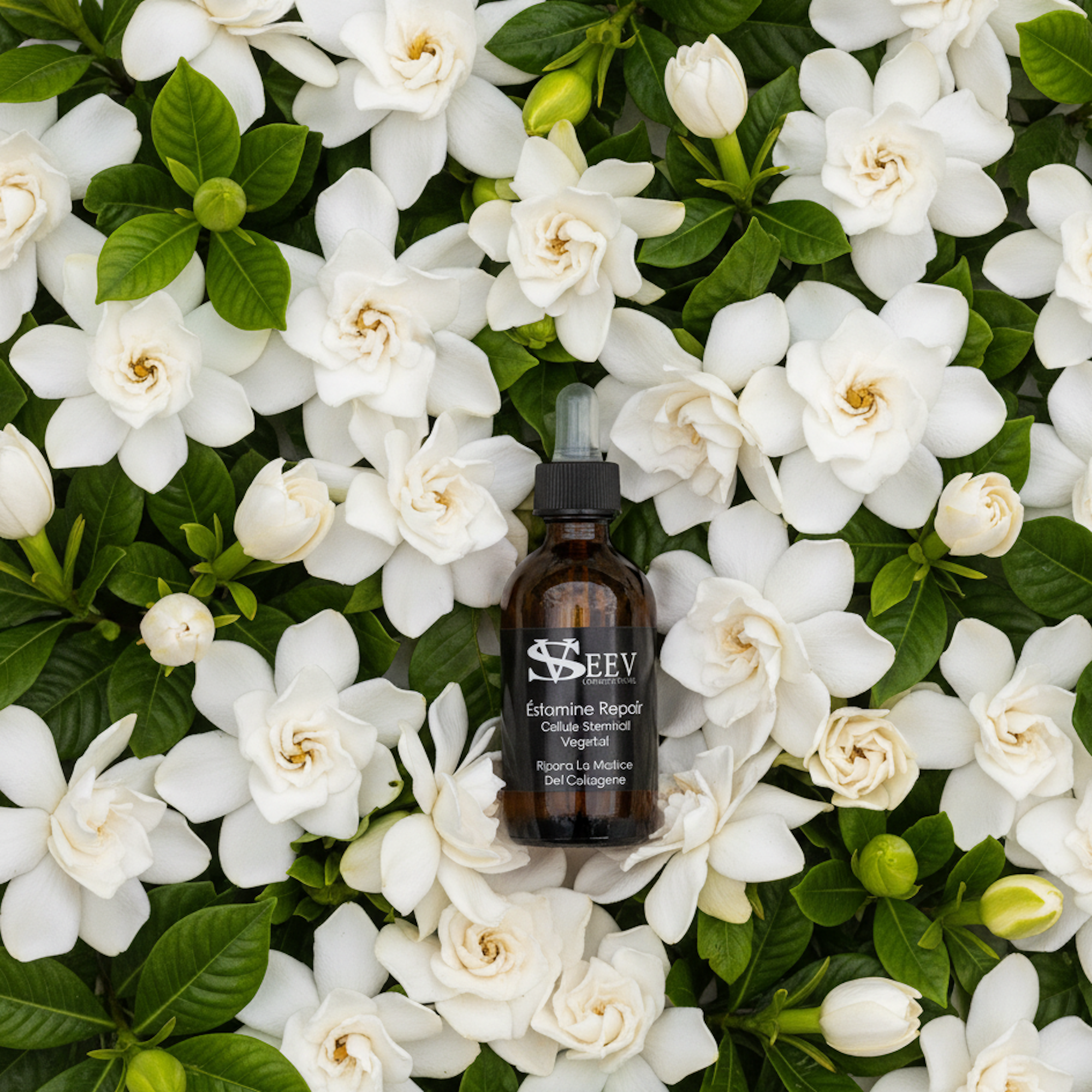 Èstamine Repair Siero